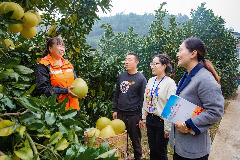 湖北：用好大数据 不丢大脚板