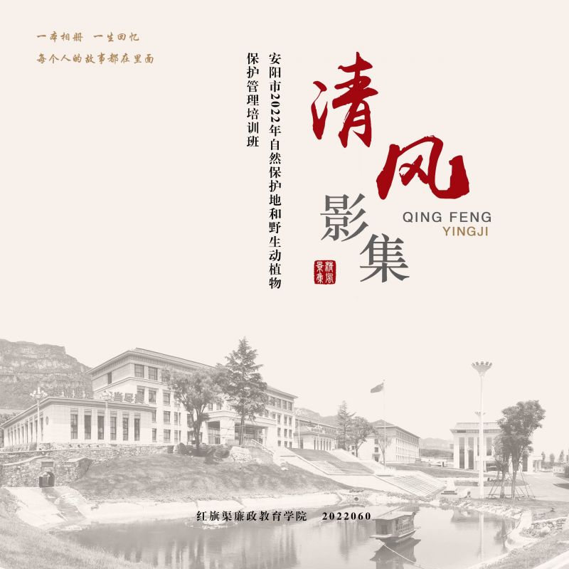 清风影集 2022.060