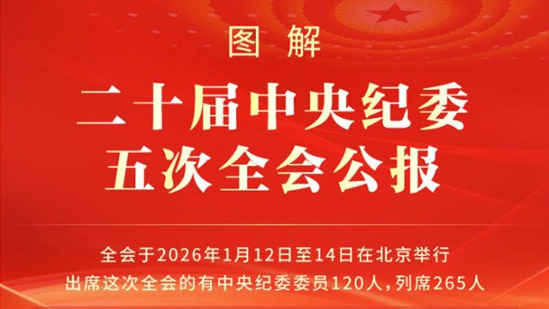 图解丨二十届中央纪委三次全会公报